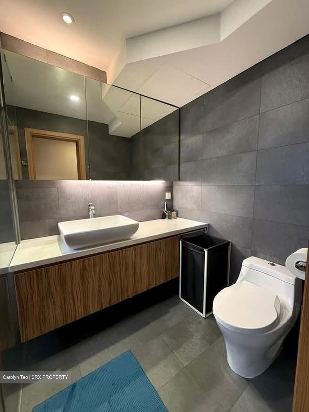 Seasons View (D20), Condominium #565773981